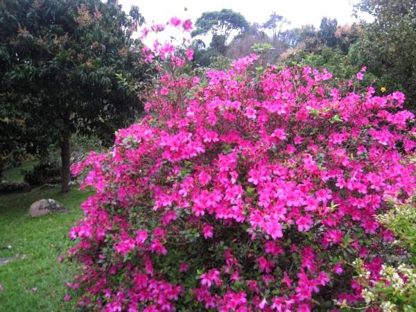 Florianópolis Pousada Sitio Dos Tucanos מראה חיצוני תמונה
