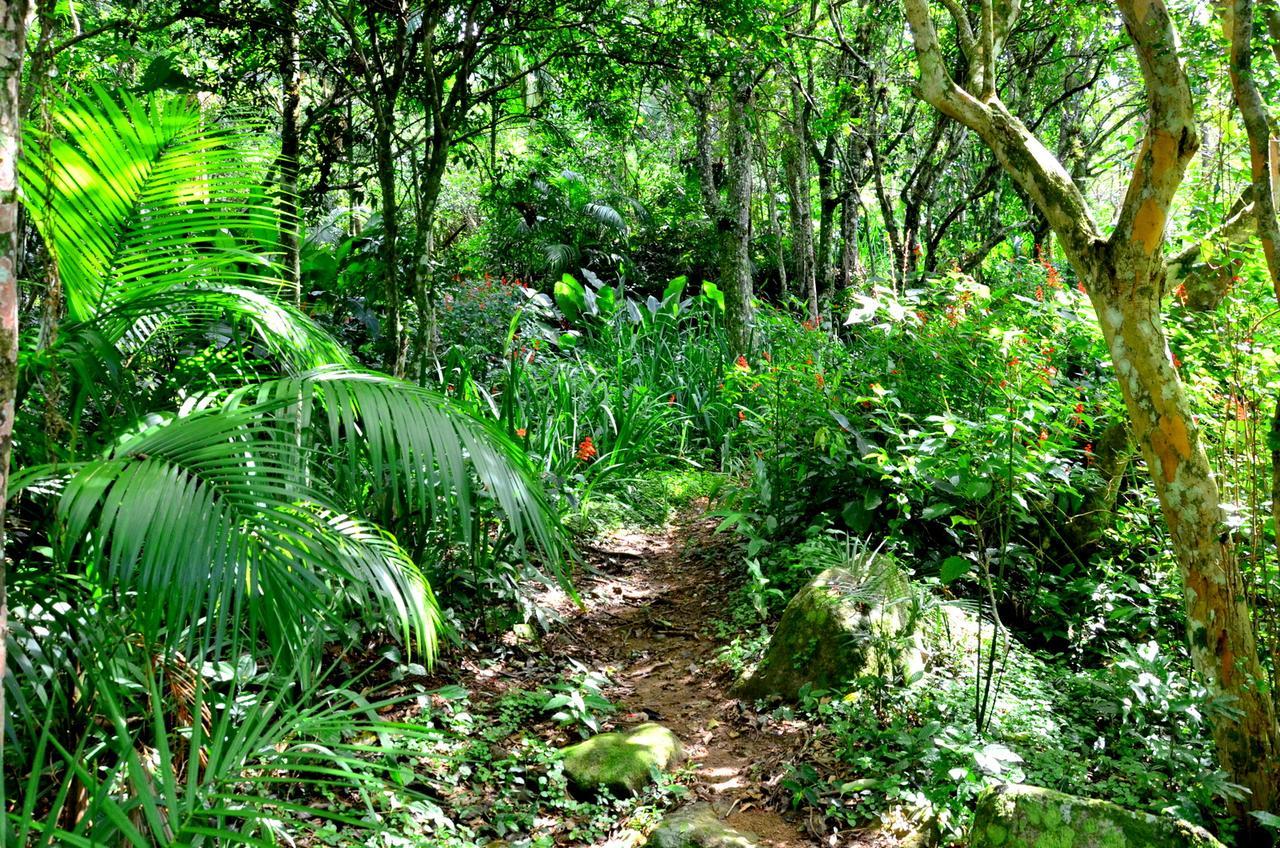 Florianópolis Pousada Sitio Dos Tucanos מראה חיצוני תמונה